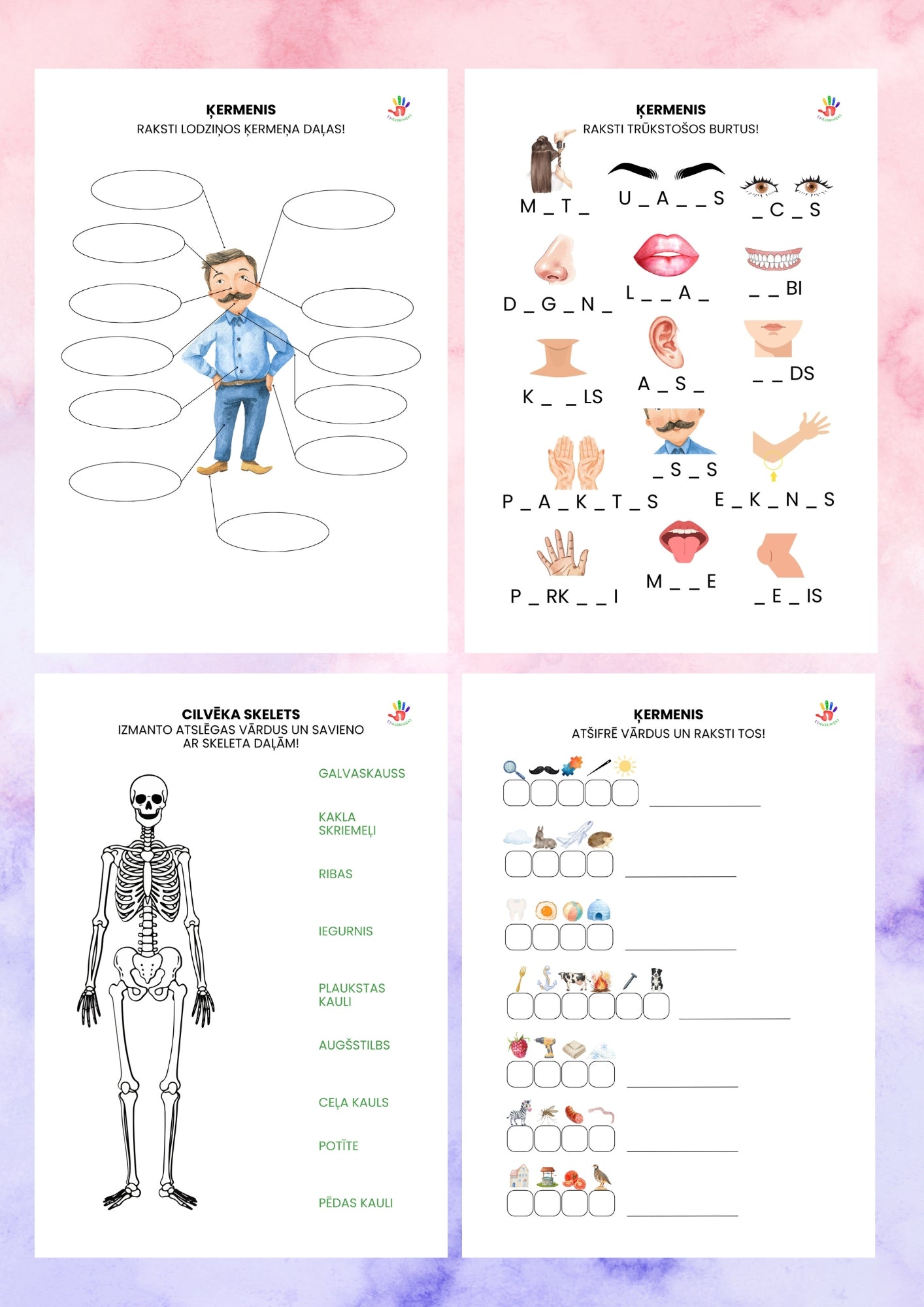 50+ ŽURNĀLI (visi digitālie žurnāli)